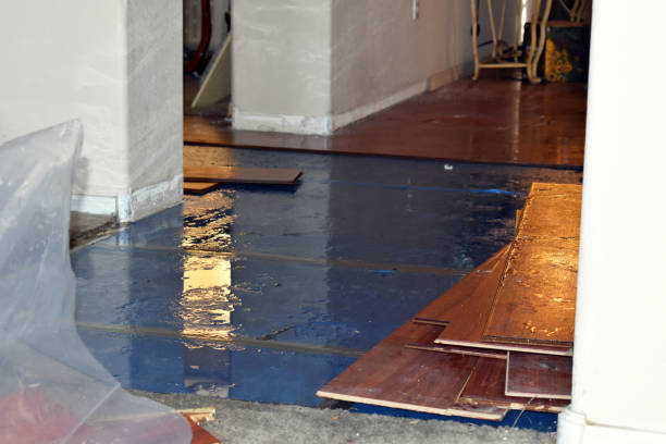 Professional Burst Pipe Cleanup technician working in Burgoon, OH
